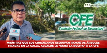 Mientras que los ciudadanos esquivan ramas de árboles tiradas en la calle, Alcalde le “echa la bolita” a la CFE