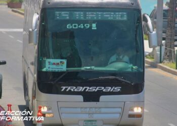 Gobierno multará a camiones “chárter” que paseen a turistas; “solo tiene permitido dejar y recoger a los visitantes”: Alcalde