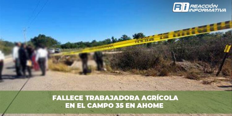 Fallece trabajadora agrícola en el Campo 35 en Ahome