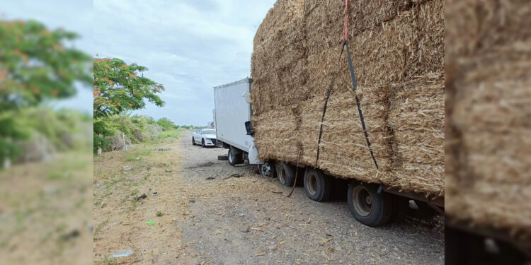 Fuerte choque entre camiones en la autopista Culiacán-Mazatlán deja dos personas sin vida