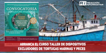 Arranca el curso taller de Dispositivos Excluidores de Tortugas Marinas y Peces