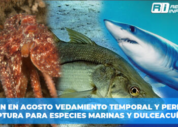 Inician en agosto vedamiento temporal y periodos de captura para especies marinas y dulceacuícolas