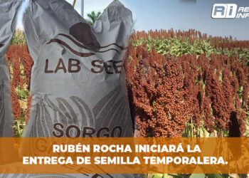 Rubén Rocha iniciará la entrega de semilla temporalera.