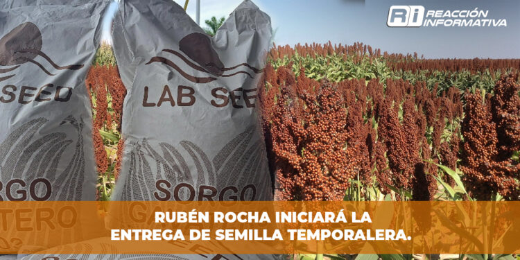 Rubén Rocha iniciará la entrega de semilla temporalera.