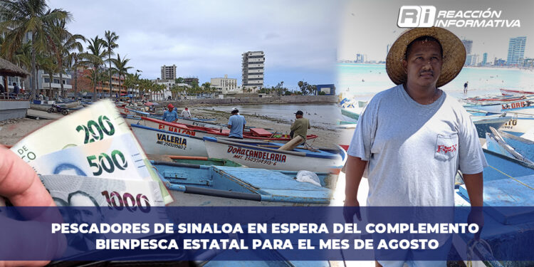 Pescadores de Sinaloa en espera del complemento Bienpesca estatal para el mes de Agosto