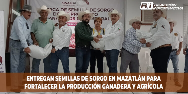 Entregan de semillas de sorgo en Mazatlán para fortalecer la producción ganadera y agrícola