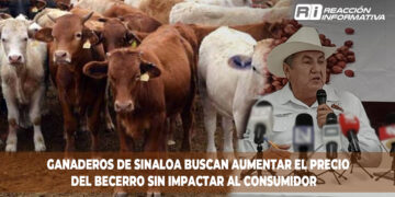 Ganaderos de Sinaloa Buscan Aumentar el Precio del Becerro sin Impactar al Consumidor