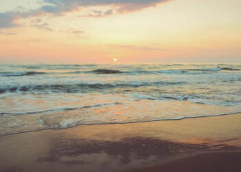 ¡Aguas con los cocodrilos! Estas son las playas más contaminadas, según Cofepris