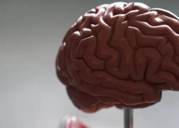 Día Mundial del Cerebro, ¿qué puede dañarlo?