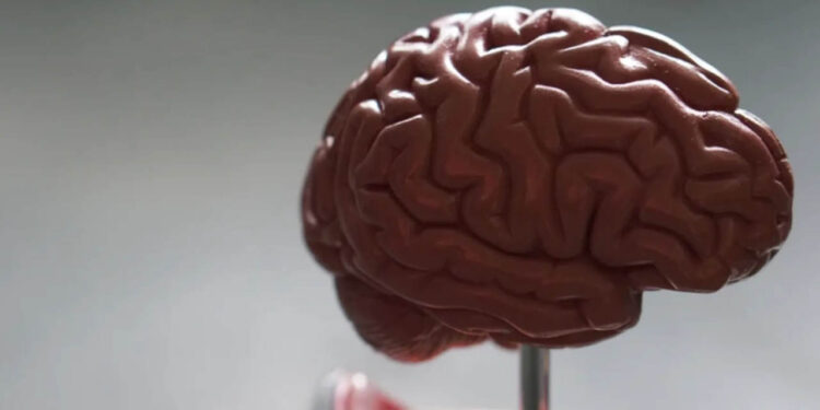 Día Mundial del Cerebro, ¿qué puede dañarlo?