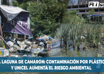 La laguna del camarón: contaminación por plásticos y unicel aumenta el riesgo ambiental