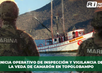 Inicia operativo de inspección y vigilancia de la veda de camarón en Topolobampo