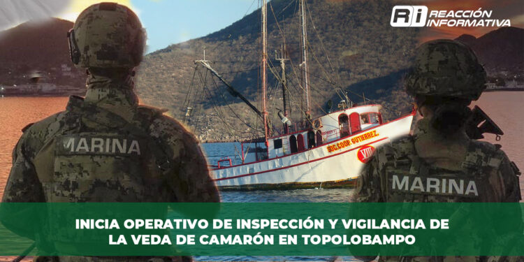 Inicia operativo de inspección y vigilancia de la veda de camarón en Topolobampo