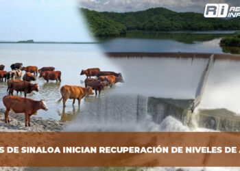Presas de Sinaloa inician recuperación de niveles de agua