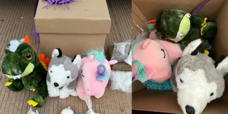Son decomisados peluches con cocaína y metanfetamina en paquetería de Culiacán