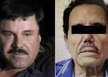Abogado del “Chapo” Guzmán afirma tajante que no traicionaron al “Mayo” Zambada