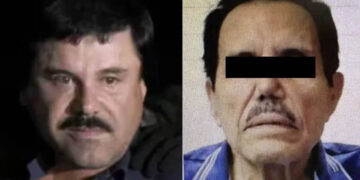 Abogado del “Chapo” Guzmán afirma tajante que no traicionaron al “Mayo” Zambada