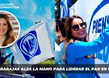 Wendy Barajas alza la mano para liderar el PAN en Sinaloa