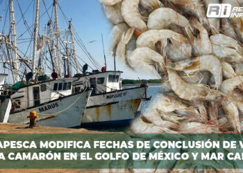 Pescadores de Sinaloa continúan sin fecha para el pago del Bienpesca estatal