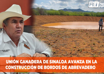 Unión Ganadera de Sinaloa avanza en la construcción de bordos de abrevadero