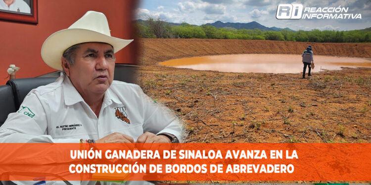 Unión Ganadera de Sinaloa avanza en la construcción de bordos de abrevadero