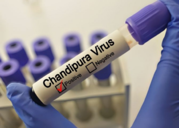 ¿Qué es el virus Chandipura, considerado el más grave de las últimas décadas?