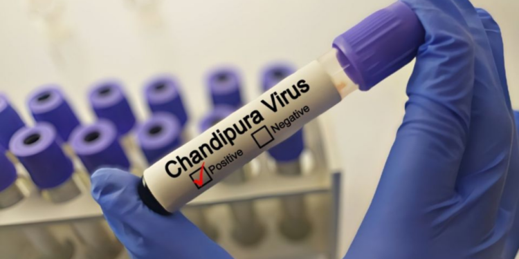 ¿Qué es el virus Chandipura, considerado el más grave de las últimas décadas?