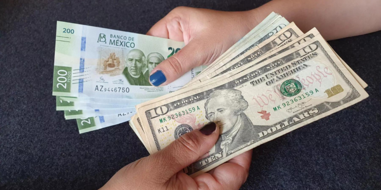 ¡Peso lidera pérdidas entre monedas globales! Precio del dólar hoy 5 de agosto de 2024