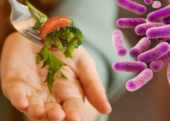 ¿Qué es E. coli y cuáles son los síntomas que causa esta bacteria?
