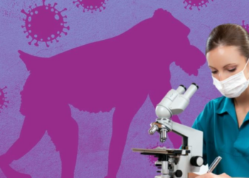 Viruela del mono, ¿cerca de ser Pandemia como la de Covid 19?