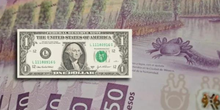 ¡Peso pierde por segundo día! Precio del dólar hoy 20 de agosto de 2024