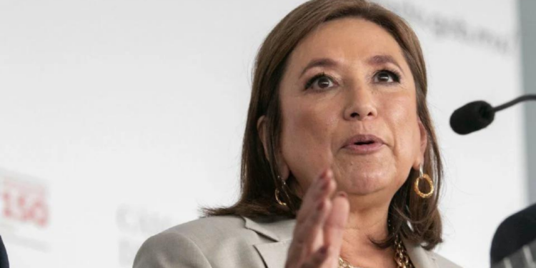 Xóchitl Gálvez difunde documentos para el juicio ciudadano al que convocó contra la sobrerrepresentación