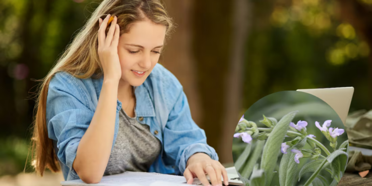 La planta que controla el azúcar en sangre y mejora la memoria en poco tiempo
