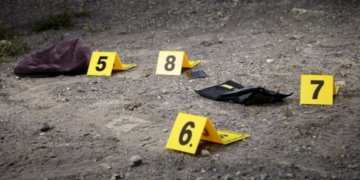 Desde halcones a sicarios: la tragedia detrás del reclutamiento forzoso de niños en el crimen organizado