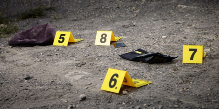 Desde halcones a sicarios: la tragedia detrás del reclutamiento forzoso de niños en el crimen organizado
