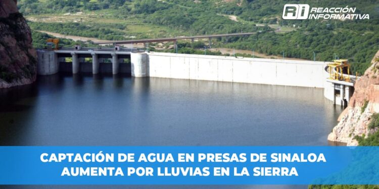 Captación de Agua en Presas de Sinaloa Aumenta por Lluvias en la Sierra