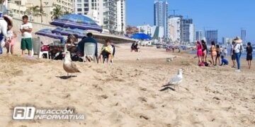 Mazatlán supera el millón de pasajeros en este 2024