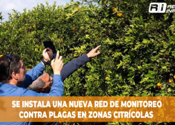 Se instala una nueva red de monitoreo contra plagas en zonas citrícolas