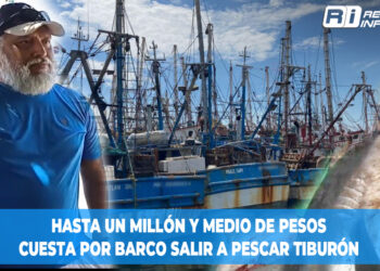 Hasta un millón y medio de pesos cuesta por barco salir a pescar tiburón