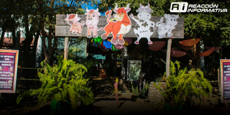 Restauranteros de Mazatlán cierran verano con aumento de hasta 20% en ventas