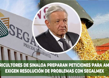 Agricultores de Sinaloa preparan peticiones para AMLO: Exigen resolución de problemas con SEGALMEX
