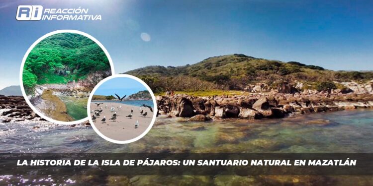 La historia de la Isla de Pájaros: Un santuario natural en Mazatlán