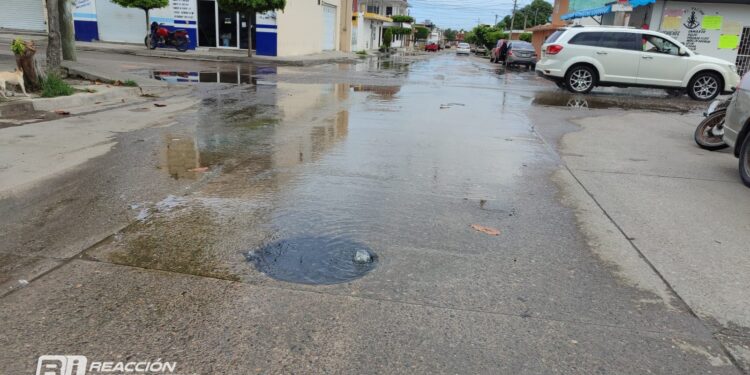 Drenaje en Mazatlán podría afectar futuros desarrollos inmobiliarios, advierte AMPI