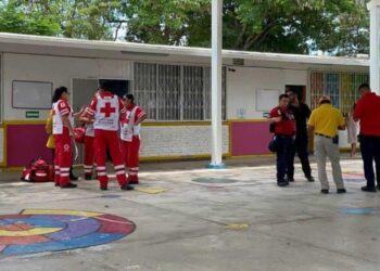 Ataque de abejas en Kinder de la Salvador Allende moviliza a cuerpos de emergencia