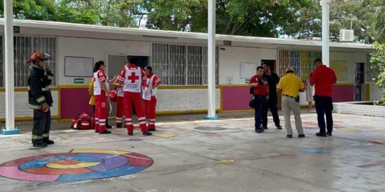 Ataque de abejas en Kinder de la Salvador Allende moviliza a cuerpos de emergencia