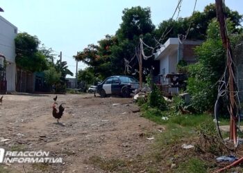 Contra reloj: Vecinos de la invasión Nuevo Cajeme en Mazatlán claman ayuda por energía eléctrica