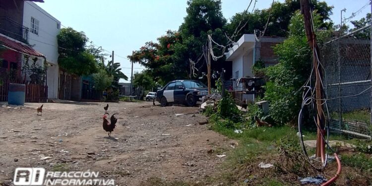 Contra reloj: Vecinos de la invasión Nuevo Cajeme en Mazatlán claman ayuda por energía eléctrica