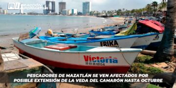 Pescadores de Mazatlán se ven afectados por posible extensión de la veda del camarón hasta octubre