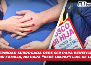 Maternidad subrogada debe ser para beneficio de concebir familia, no para “Bebé limpio”: Luis de la Rocha