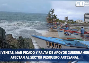 Bajas ventas, mar picado y falta de apoyos gubernamentales afectan al sector pesquero artesanal